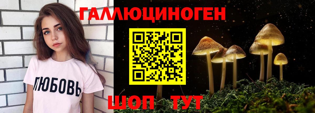 Псилоцибиновые грибы Psilocybine cubensis  Псилоцибиновые грибы прущие грибы  Пугачёв  Вход с VPN 