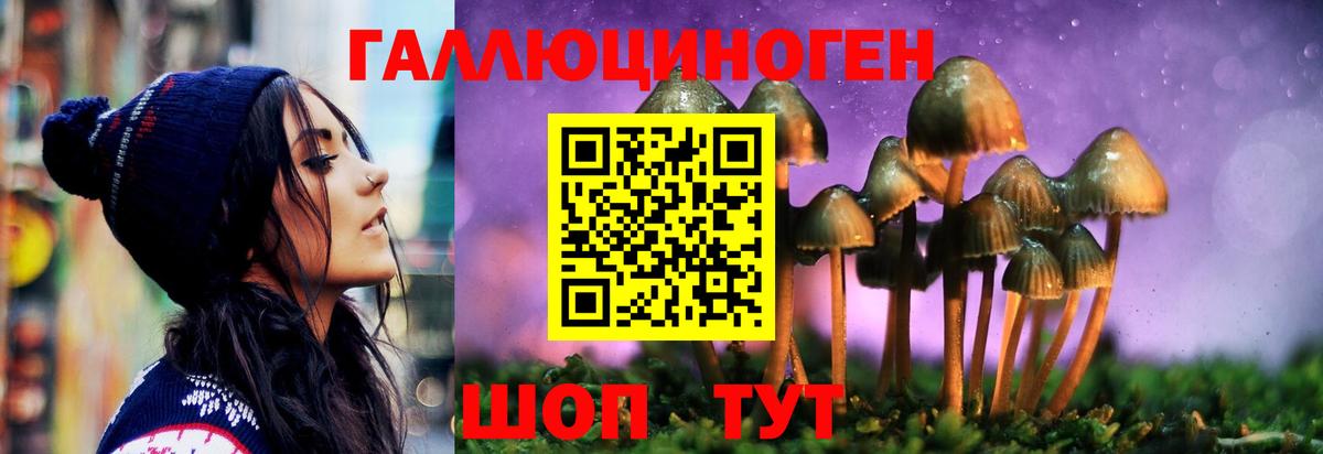 Псилоцибиновые грибы Magic Shrooms Пугачёв